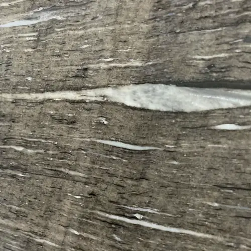 Granito marrom cygnus